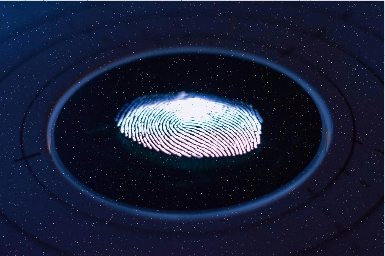 Automatización de procesos